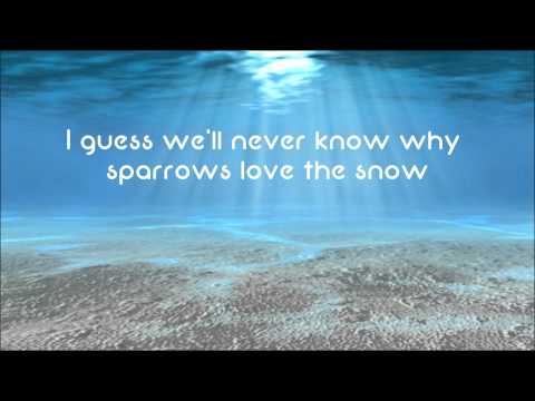 Owl City - The Saltwater Room HD Lyrics + Description