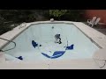 Pool Illusion Rewind! ft. Cue (kitty cat)