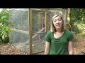 Most Efficient Chicken Coop Tour
