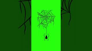 Spider Web Green Screen Animation