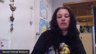 Power Animal Readings 21st Sep 2021