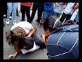 tierrosas