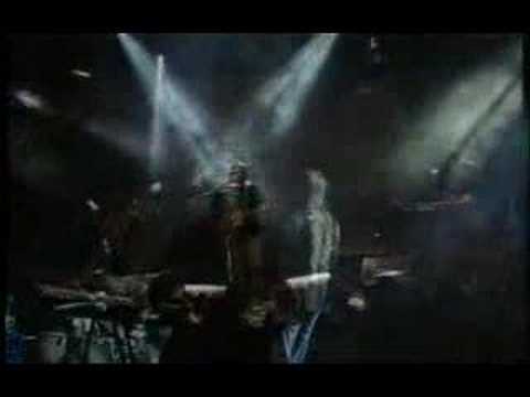 Looking Down Video
