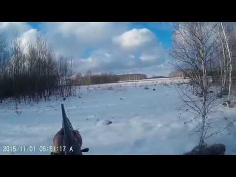 Когда открытие охоты осень 2018 в омской области Когда открытие охоты осень 2018 в омской области