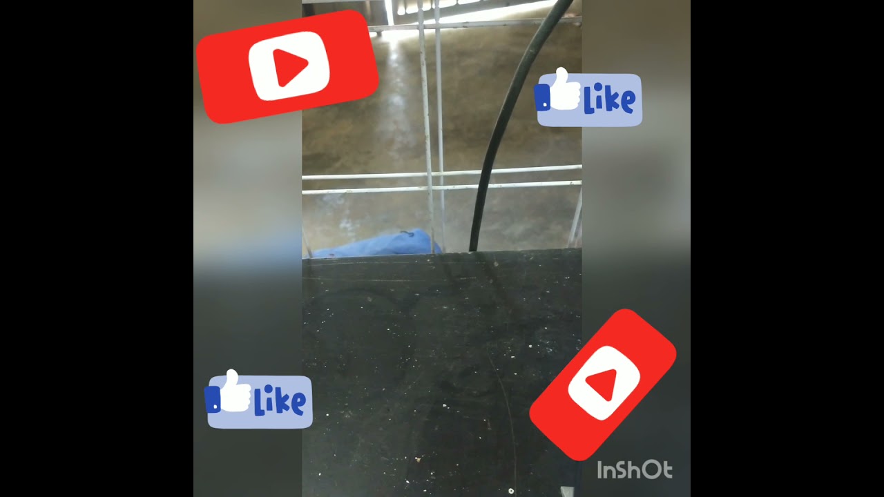 (FRP) Como brincar la cuenta de un MATE 20 LITE sin PC (FRP) Como brincar la cuenta de un MATE 20 LITE sin PC