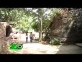 The Zoo เขาสวนกวาง 1