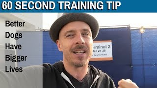 60 Second Training Tip: Better Dogs Have Bigger Lives