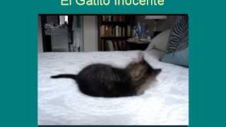 The Case Of The Tell-Tale Tail-11-01-00-14Wmv.wmv