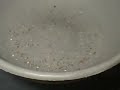Seed Cleaning Machine