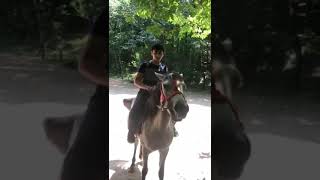 Lerik.təbəssüm Istirahət Məkanı