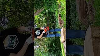 Neotec Ncs-6800 Chainsaw Cutting Some Wood Chipped The Chain On The Bar By Accident