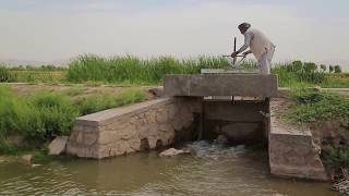Water: The Gift of Life