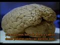 cuántica
