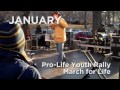 2011 Year in Review