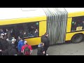 Malorny88