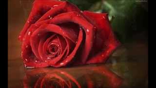 Watch Chris Thomas King What A Wonderful World video