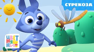 Цветняшки Стрекоза Серия 32 Развивающий Мультик Для Малышей