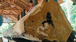 Unexpected Surprise While Sawing Giant Teak Logs At The Sawmill