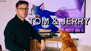 My Cat loves TOM & JERRY #cat #comedy #cute #shorts #youtubeshorts #funny #pets #petsofyoutube