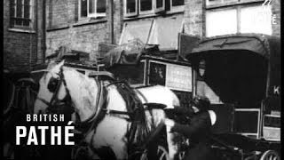 The Lady Car Men Aka Women Coach Drivers C.1900
