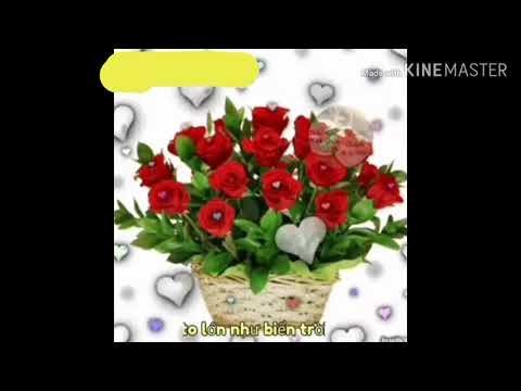 Kênh chuyên nhạc video ..( nhạc trữ tình)