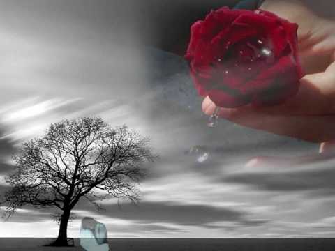 Ishq Main Dost Isi Taraha Nibhana Ho Ga....!