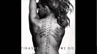 Watch Tinashe The Will To Survive video