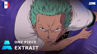 One Piece Zoro Vs Ryuma Vf Adn