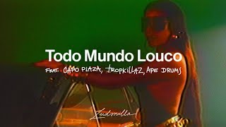 Ludmilla Ft. Capo Plaza, Tropkillaz, Ape Drums - Todo Mundo Louco