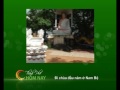chùa Nam Bộ