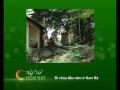 chùa Nam Bộ