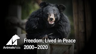 Freedom, Lived in Peace 2000-2020