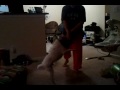 Jack the dog attacks the mean towel