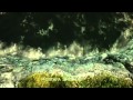 وائل جسار موجوع على فيلم Twilight 2 YouTube