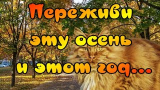 Переживи Эту Осень И Этот Год 🍁Чудесные Стихи Алеси Синеглазой 🎶Прекрасная Музыка Андрея Обидина