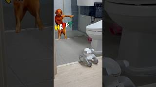 Loona The Bathroom-Loving Robots Big Adventure