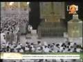 Cat touches Kaaba - a cute & amazing scene