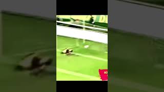 qR9evXvvATw Video Image
