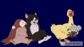 Cat, Duck And Owl Crying Please Do Not Block This Video