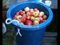 Cider