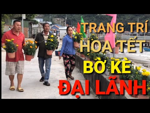 TRANG TRÍ HOA TẾT TRÊN BỜ KÈ - BIỂN ĐẠI LÃNH