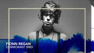 Watch Fionn Regan Cormorant Bird video