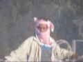 غرداية