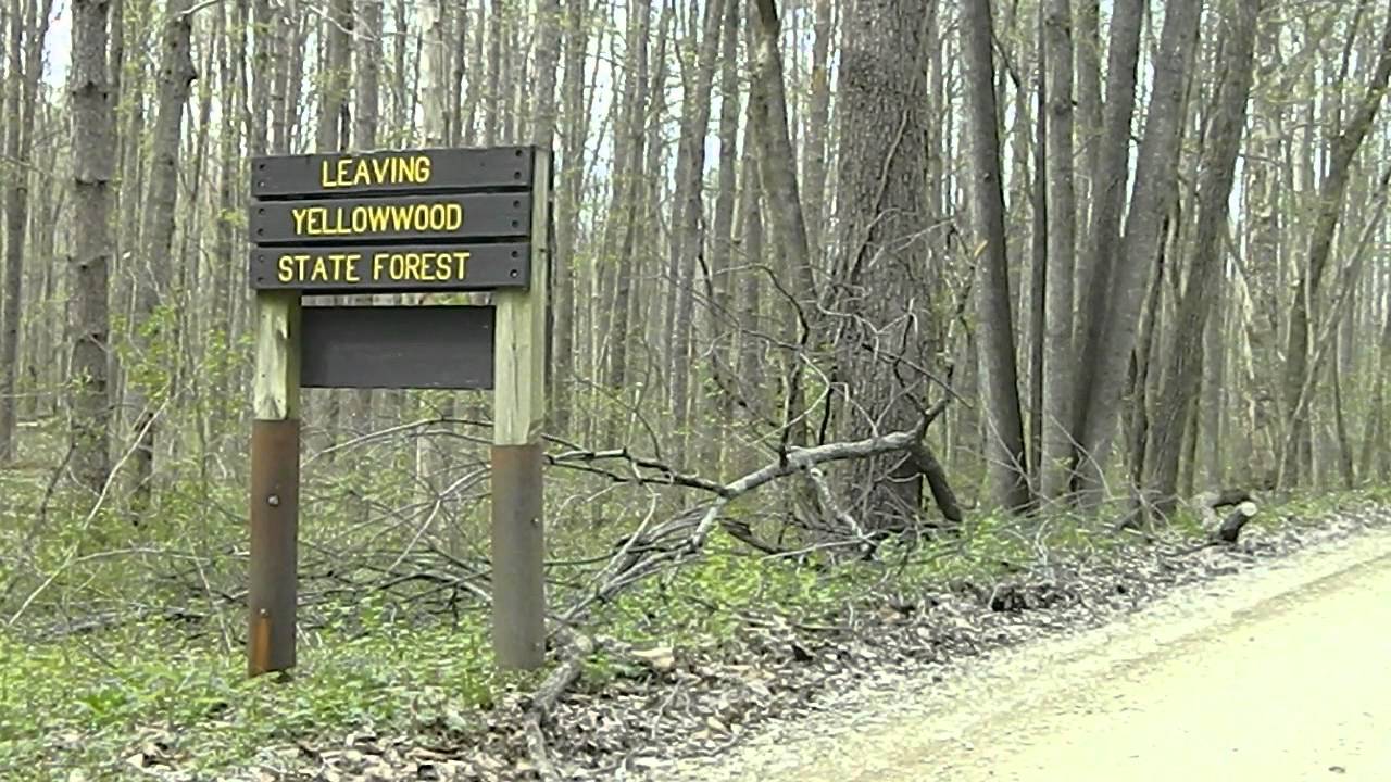 Yellowwood State Forest Part 2 Youtube Yellowwood State Forest Part 2 Youtube