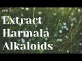 How to extract Harmala alkaloids