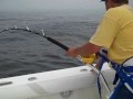 Big John + Steve landing a tuna @ Stellwa
