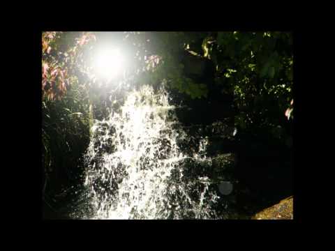 A Conversation Video