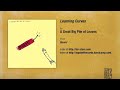 A Great Big Pile of Leaves - Learning Curves