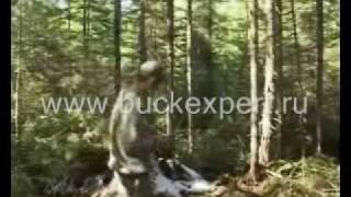 Приманка для кабана своими руками Приманка для кабана своими руками