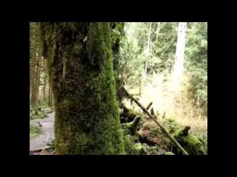Running - Original by Fae Wiedenhoeft from the album North Winds by SeaStar